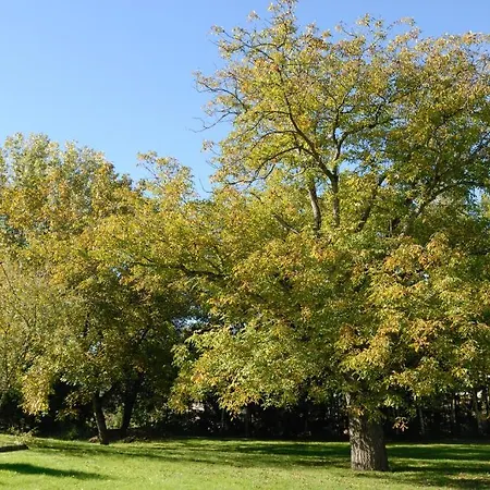 Saint Walfrid Restaurant & 4* Sarreguemines